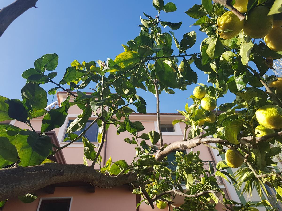 Hotel La Casa Di Paolo Casa Di Charme à Marina di Camerota Extérieur photo